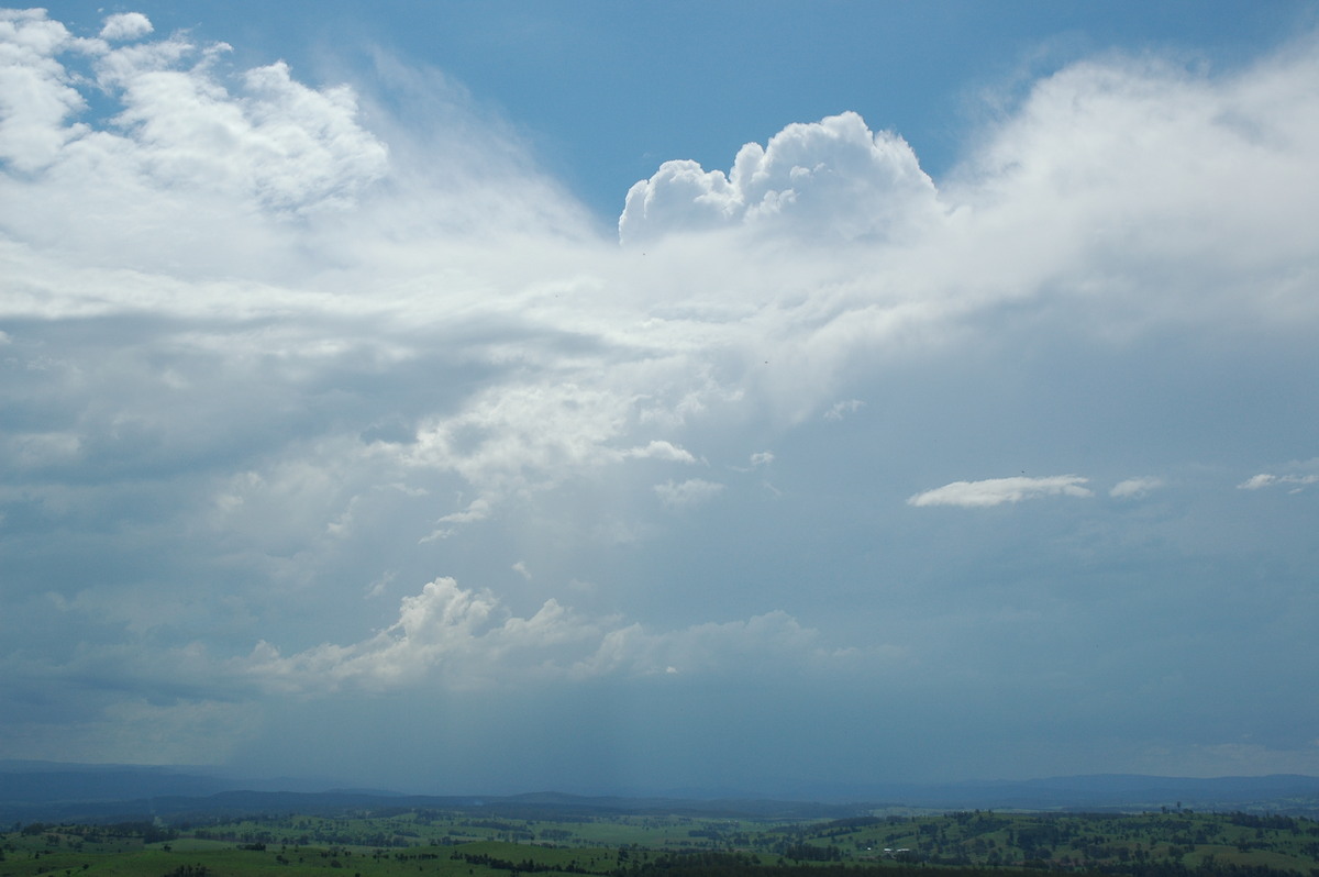 thunderstorm cumulonimbus_calvus : Mallanganee, NSW   9 November 2005