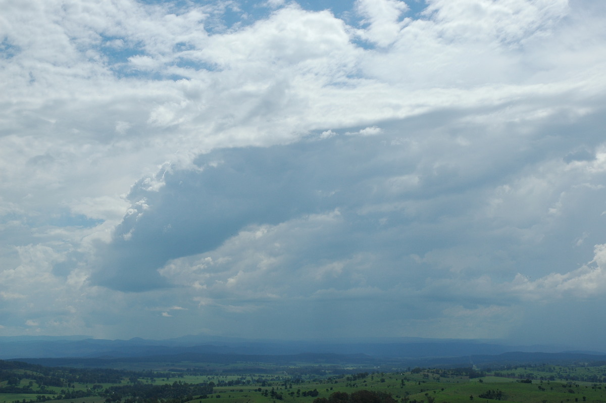 cumulus congestus : Mallanganee, NSW   9 November 2005