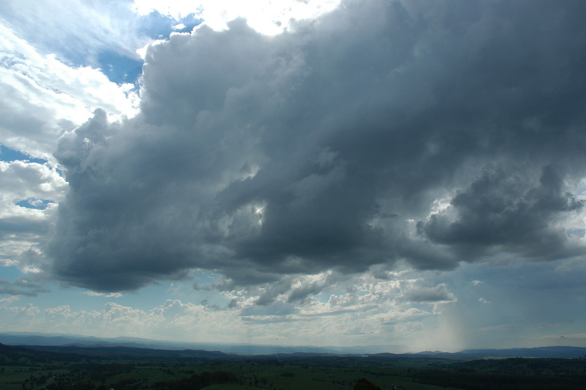 cumulus congestus : Mallanganee NSW   9 November 2005