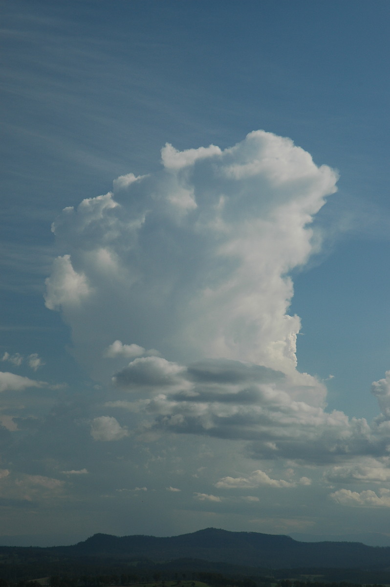 thunderstorm cumulonimbus_calvus : Mallanganee NSW   9 November 2005