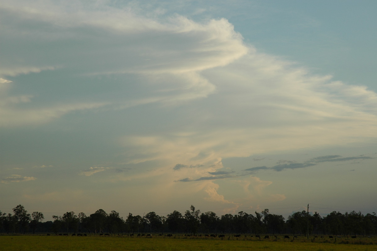 thunderstorm cumulonimbus_incus : Casino, NSW   9 November 2005