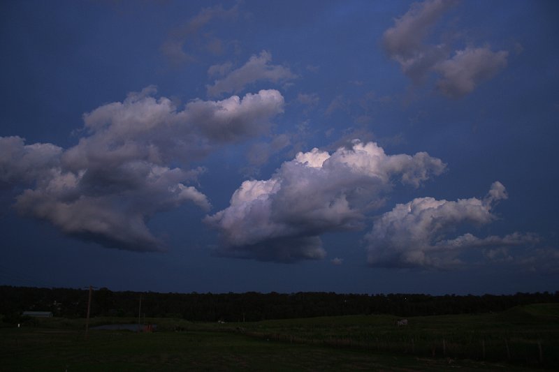 cumulus mediocris : Schofields, NSW   10 November 2005