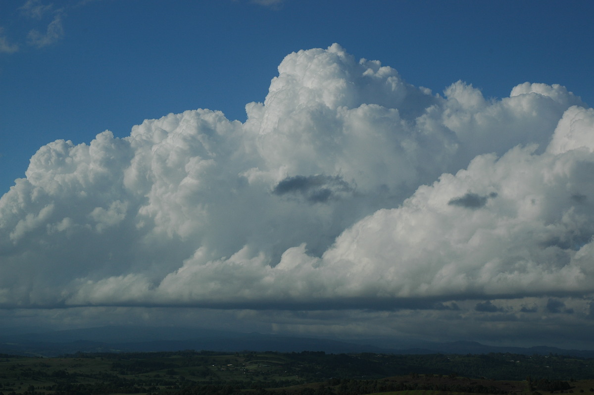 cumulus congestus : McLeans Ridges, NSW   13 November 2005