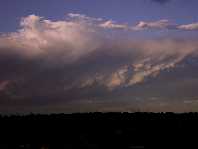 mammatus mammatus_cloud : Schofields, NSW   15 November 2005