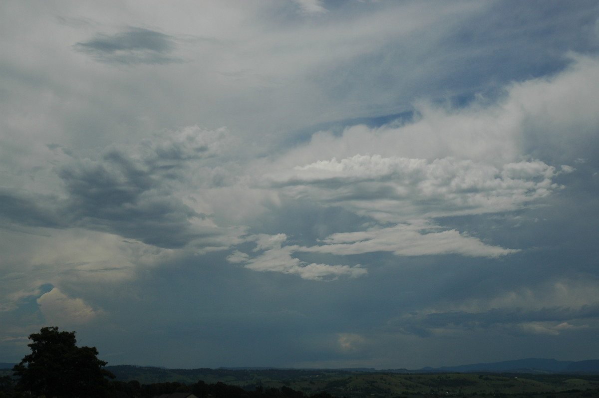 thunderstorm cumulonimbus_incus : McLeans Ridges, NSW   15 November 2005