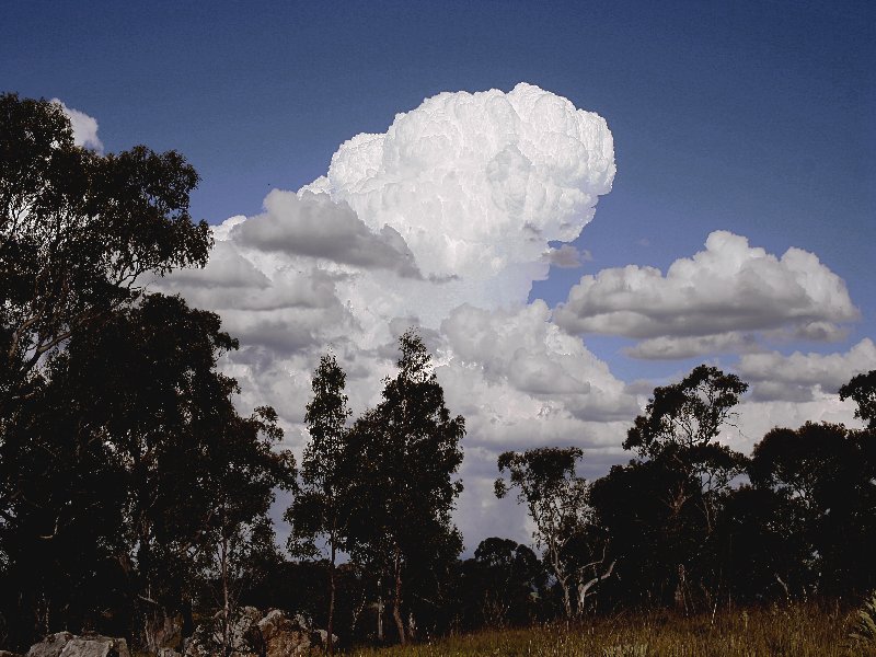 updraft thunderstorm_updrafts : Walcha, NSW   20 November 2005