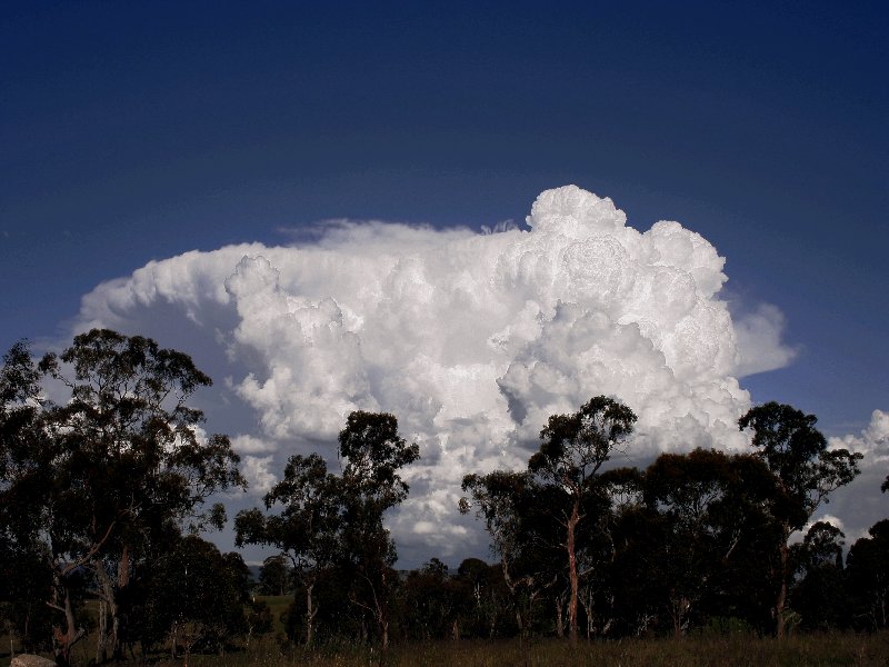 updraft thunderstorm_updrafts : Walcha, NSW   20 November 2005