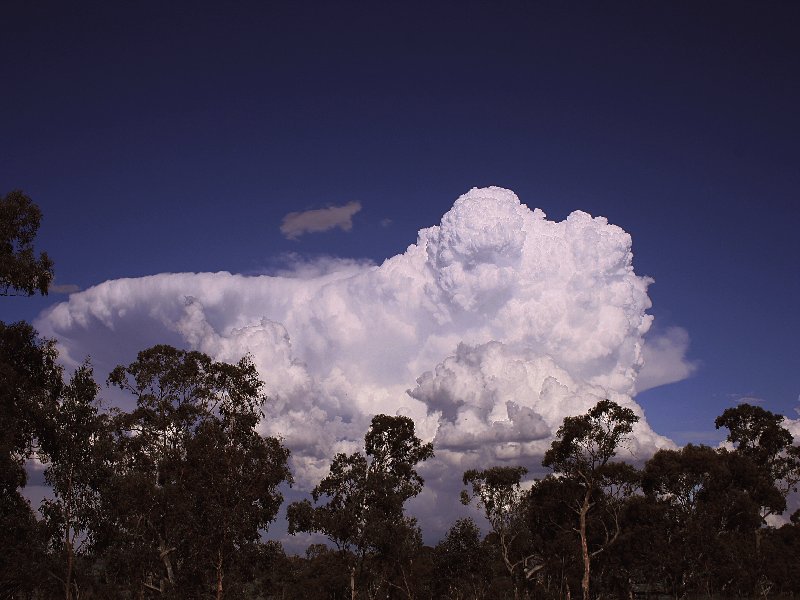 favourites jimmy_deguara : Walcha, NSW   20 November 2005