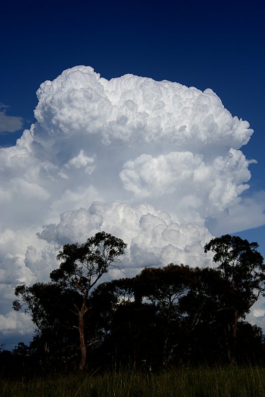 updraft thunderstorm_updrafts : Walcha, NSW   20 November 2005