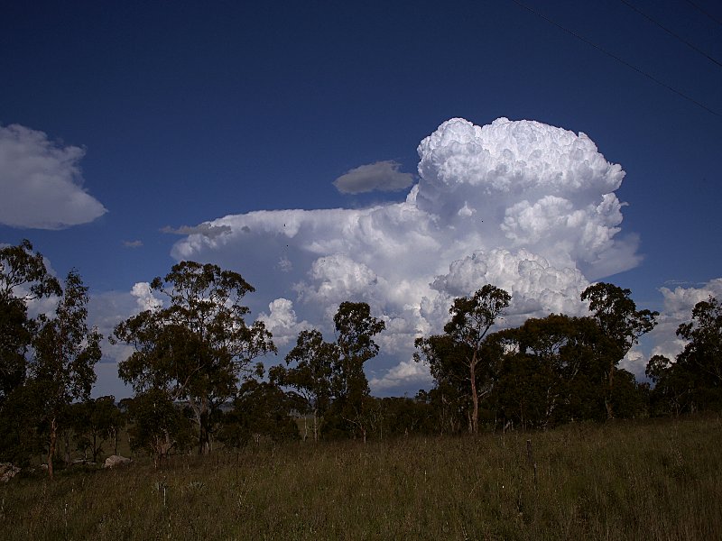 thunderstorm cumulonimbus_incus : Walcha, NSW   20 November 2005