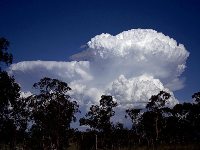 thunderstorm cumulonimbus_incus : Walcha, NSW   20 November 2005