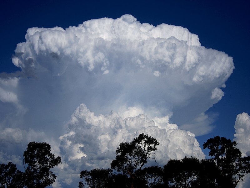 updraft thunderstorm_updrafts : Walcha, NSW   20 November 2005