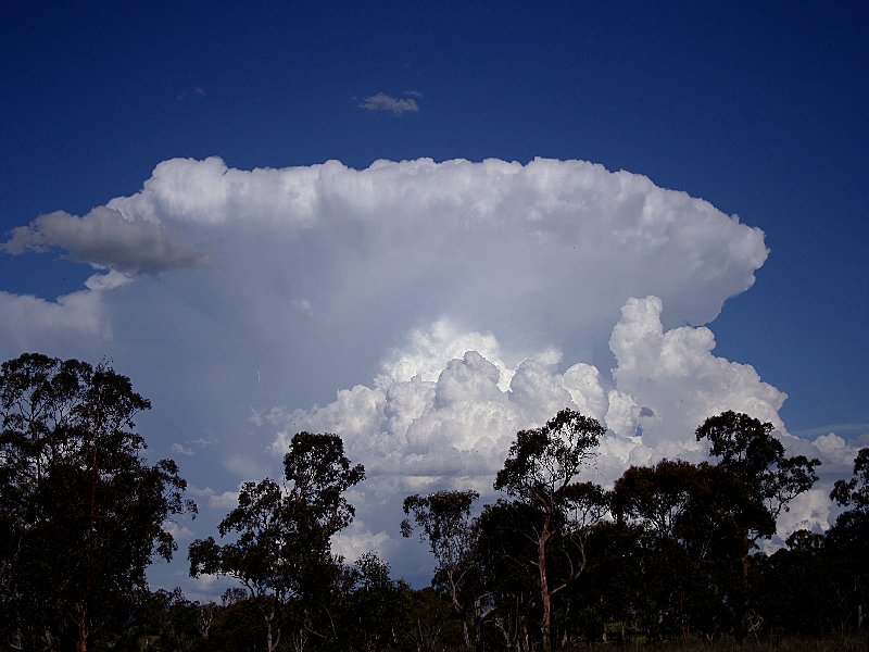 thunderstorm cumulonimbus_incus : Walcha, NSW   20 November 2005