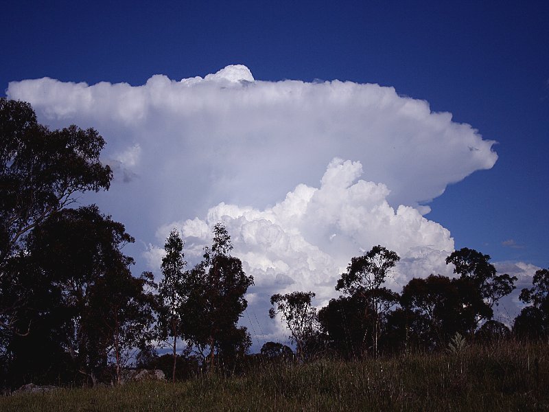 anvil thunderstorm_anvils : Walcha, NSW   20 November 2005