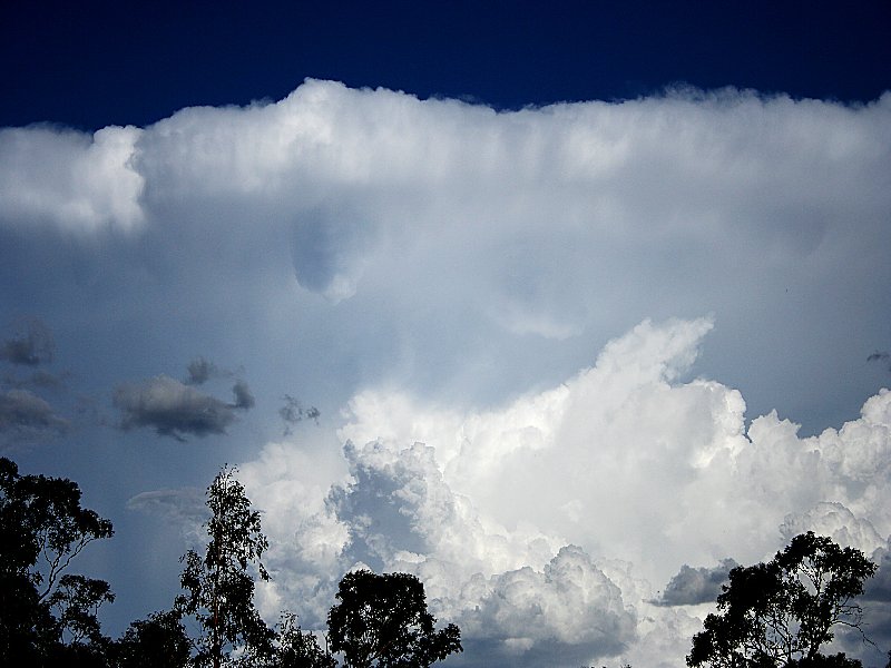 thunderstorm cumulonimbus_incus : Walcha, NSW   20 November 2005