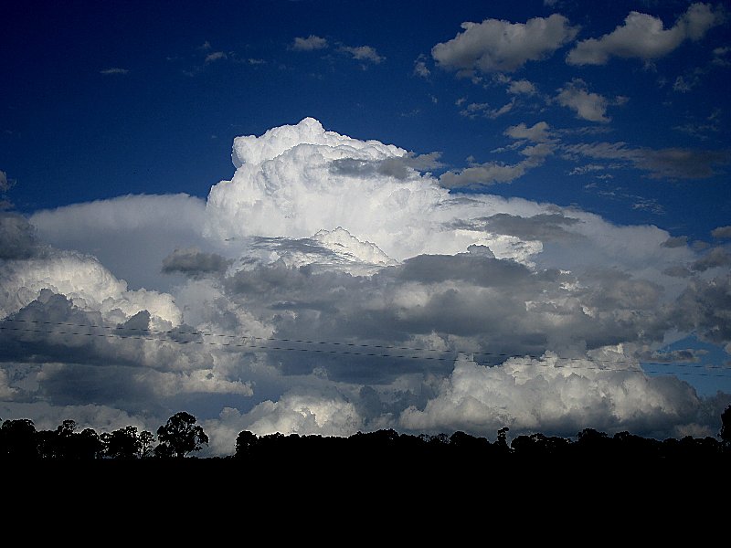 thunderstorm cumulonimbus_incus : Walcha, NSW   20 November 2005