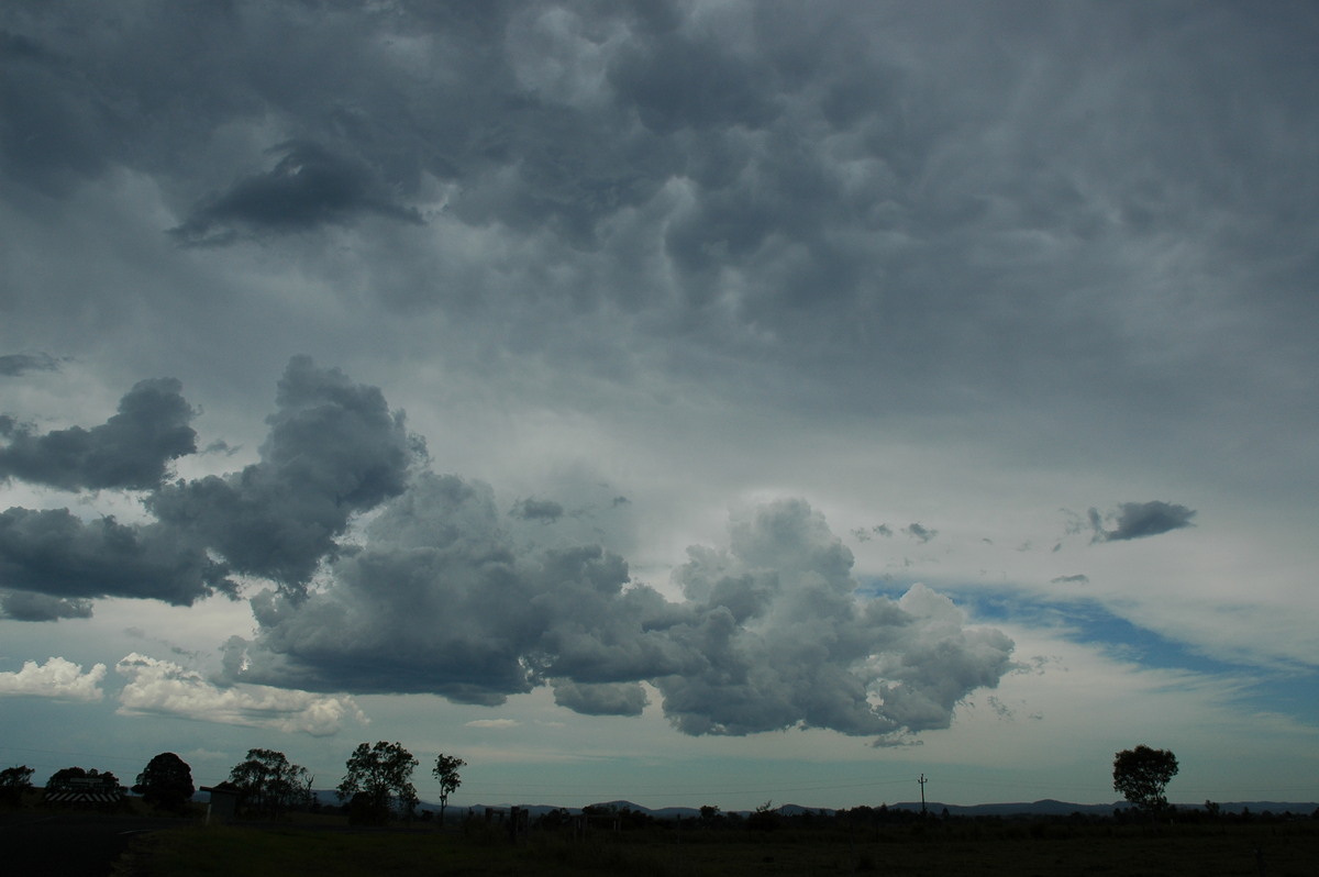 cumulus congestus : W of Casino, NSW   20 November 2005