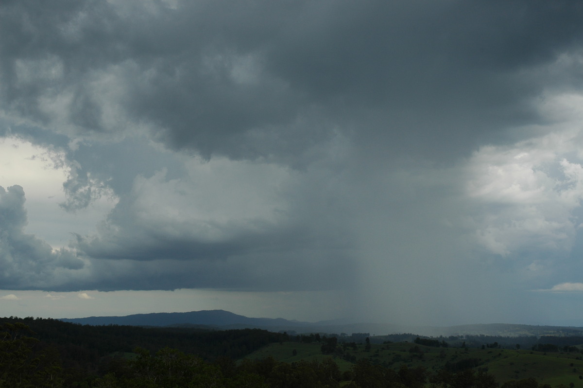 raincascade precipitation_cascade : Mallanganee NSW   20 November 2005