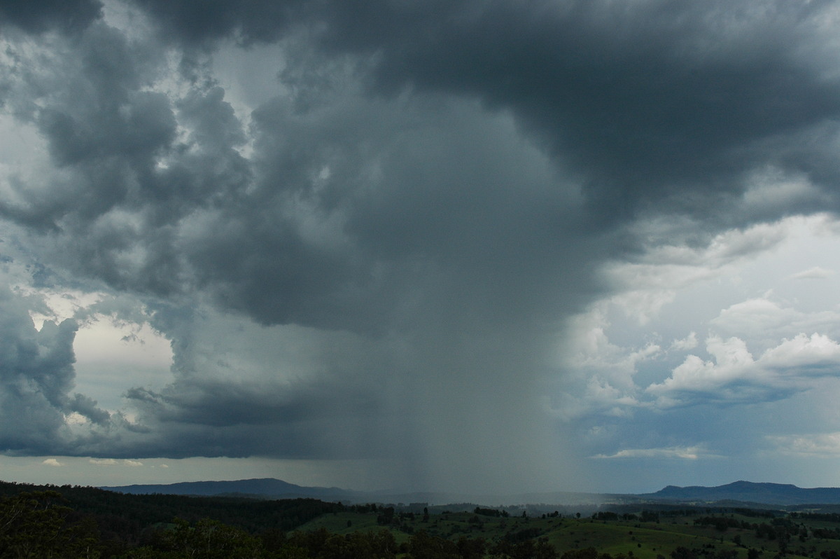 raincascade precipitation_cascade : Mallanganee NSW   20 November 2005