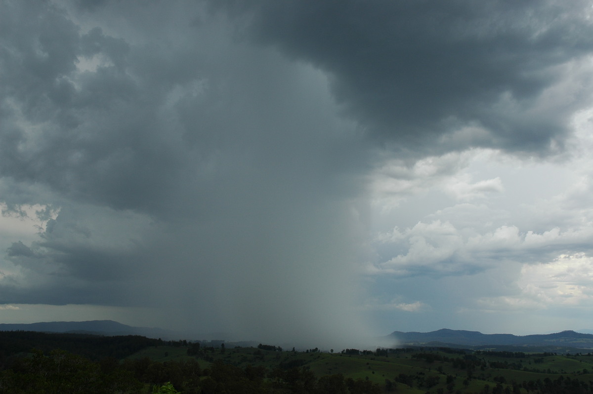 microburst micro_burst : Mallanganee NSW   20 November 2005