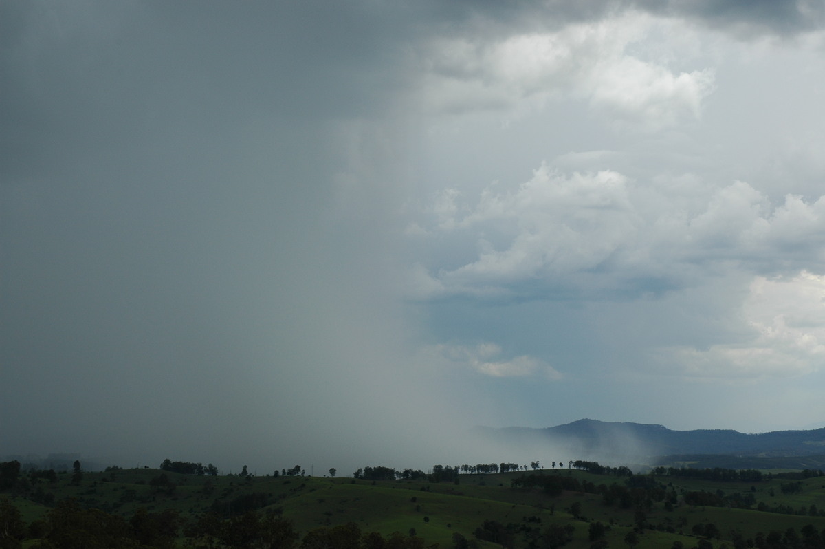 raincascade precipitation_cascade : Mallanganee NSW   20 November 2005