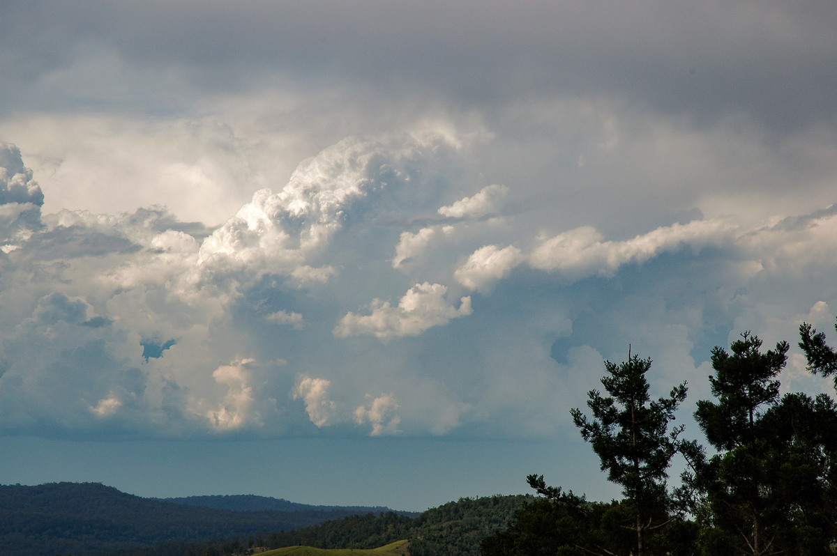 thunderstorm cumulonimbus_calvus : Mallanganee NSW   20 November 2005