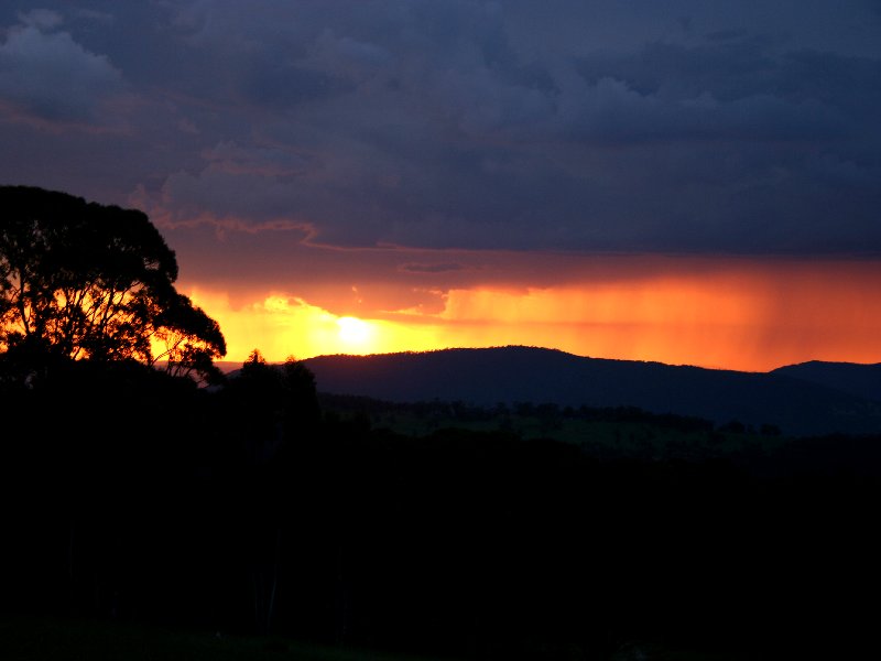 raincascade precipitation_cascade : Mt Lambie, NSW   22 November 2005