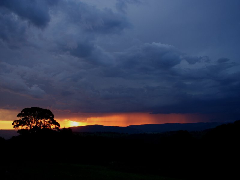 cumulonimbus thunderstorm_base : Mt Lambie, NSW   22 November 2005