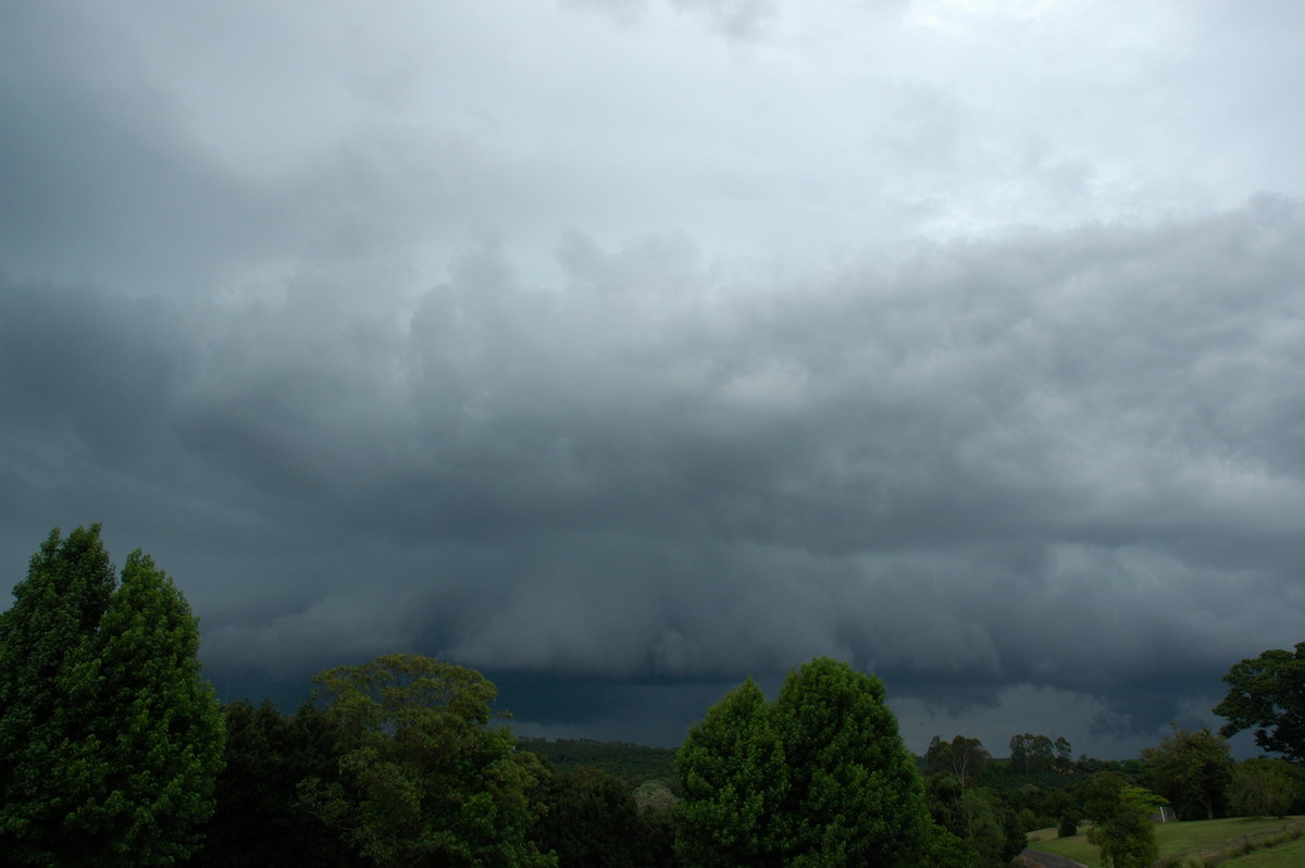 shelfcloud shelf_cloud : Tregeagle, NSW   23 November 2005