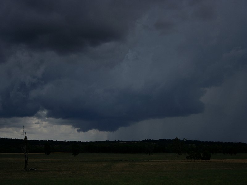 wallcloud thunderstorm_wall_cloud : W of Mendoran, NSW   25 November 2005