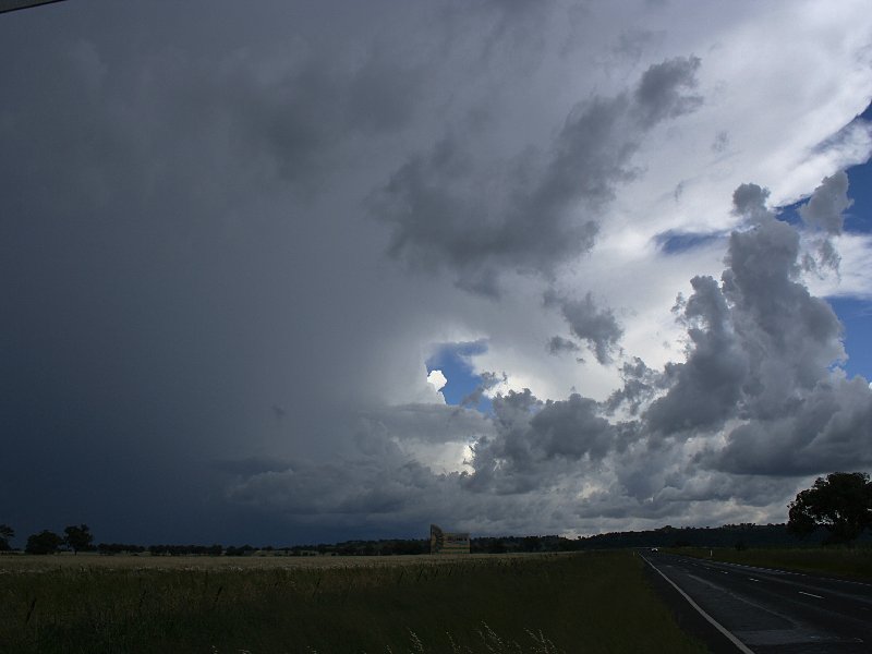 cumulus mediocris : S of Coonabarabran, NSW   25 November 2005