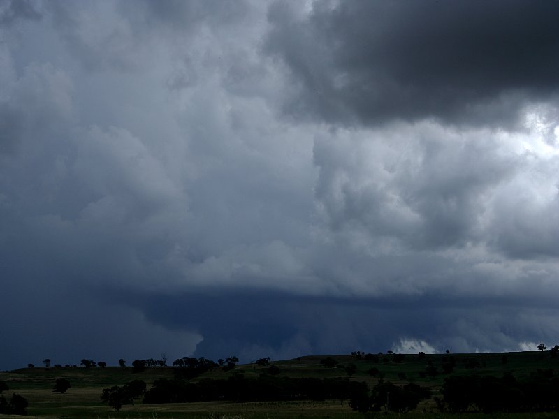 favourites jimmy_deguara : Coonabarabran, NSW   25 November 2005