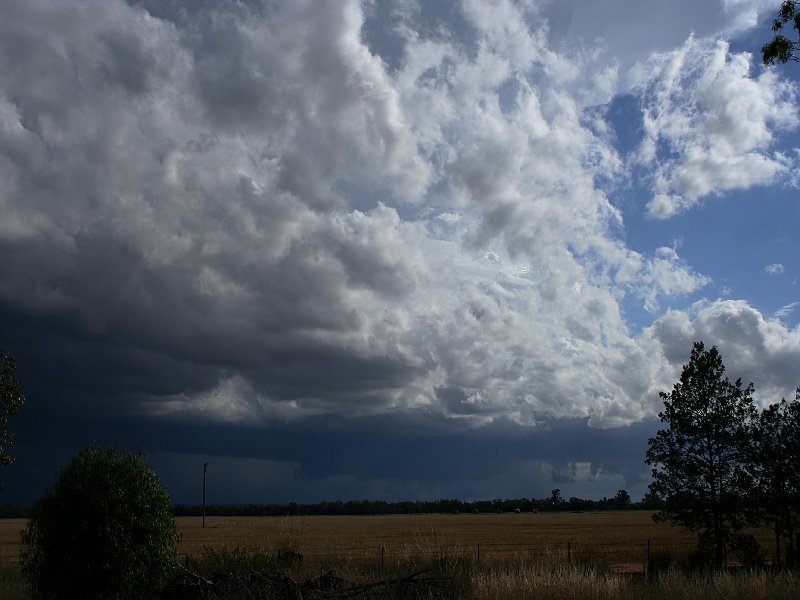 thunderstorm cumulonimbus_incus : W of Barradine, NSW   25 November 2005