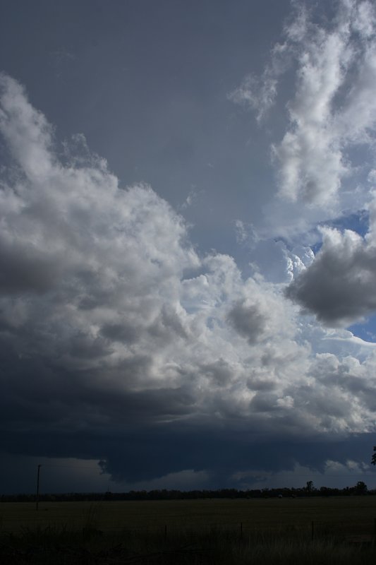 cumulonimbus supercell_thunderstorm : W of Barradine, NSW   25 November 2005