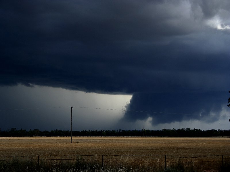 wallcloud thunderstorm_wall_cloud : W of Barradine, NSW   25 November 2005