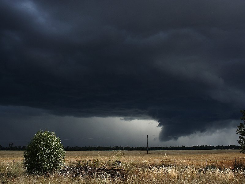 raincascade precipitation_cascade : W of Barradine, NSW   25 November 2005