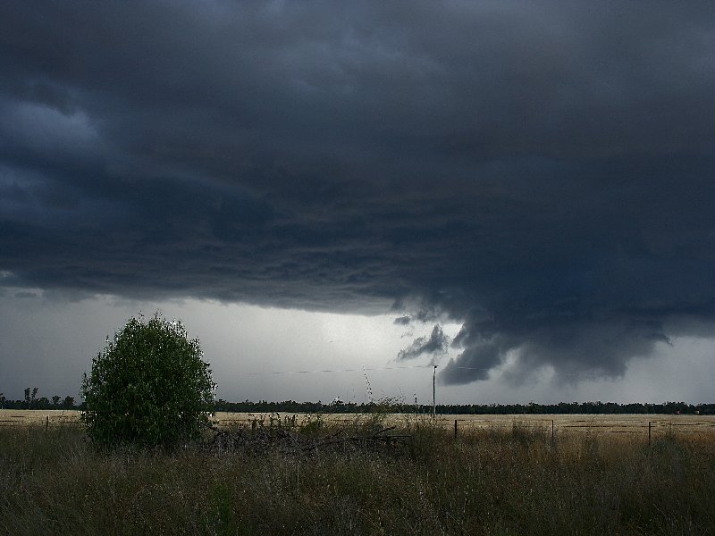 wallcloud thunderstorm_wall_cloud : W of Barradine, NSW   25 November 2005