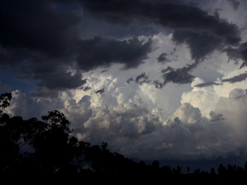 thunderstorm cumulonimbus_incus : W of Barradine, NSW   25 November 2005