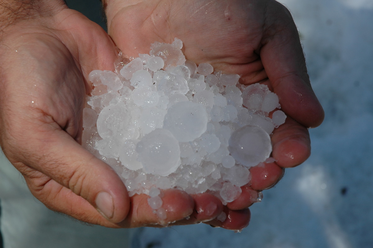 hailstones hail_stones : Warialda, NSW   26 November 2005