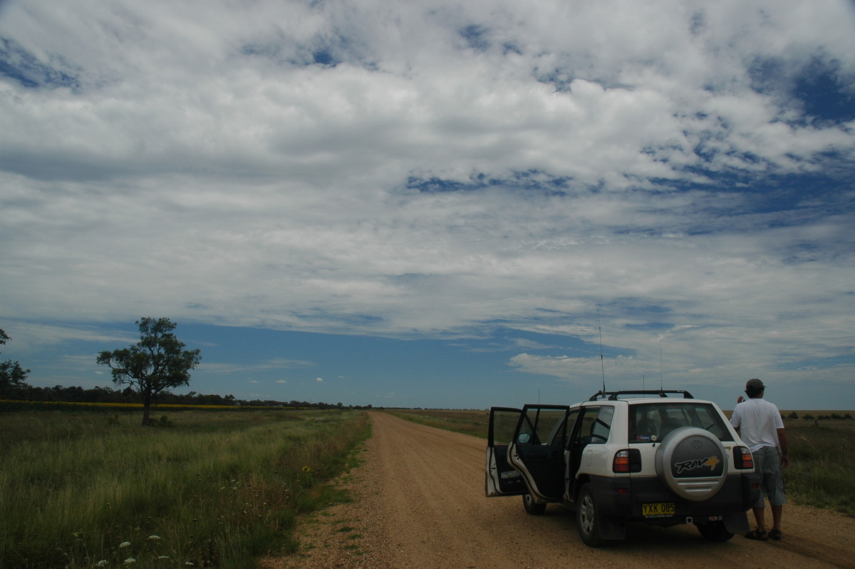 altocumulus castellanus : W of Bellata, NSW   26 November 2005