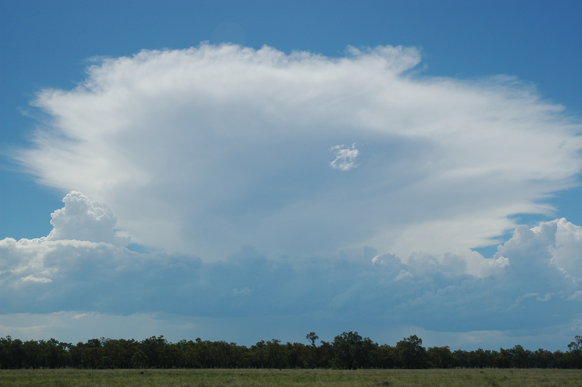 anvil thunderstorm_anvils : Collarenabri, NSW   26 November 2005