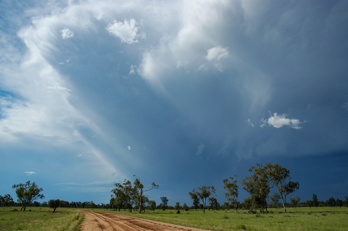 anvil thunderstorm_anvils : Collarenabri, NSW   26 November 2005