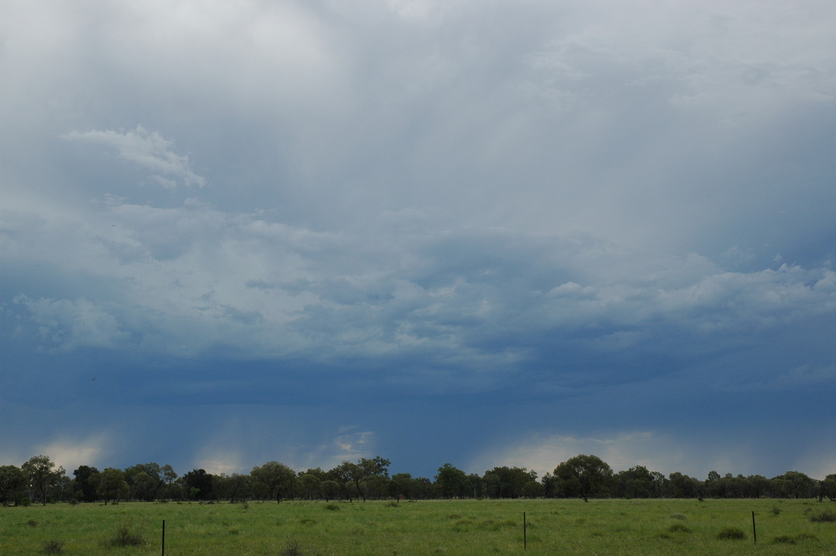 raincascade precipitation_cascade : Collarenabri, NSW   26 November 2005