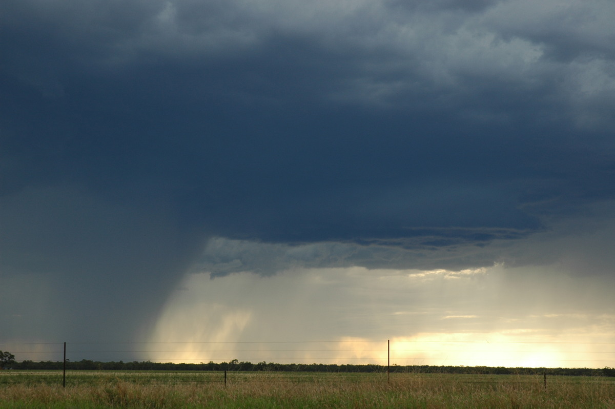 microburst micro_burst : Collarenabri, NSW   26 November 2005