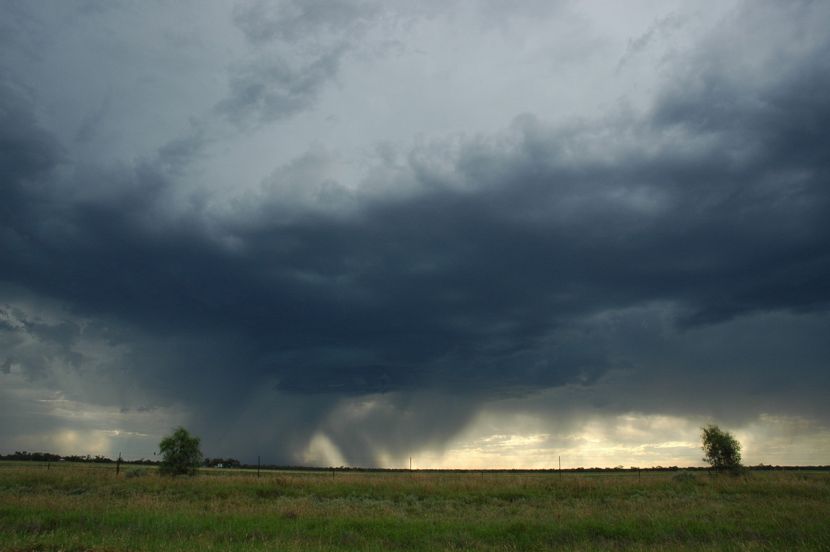 microburst micro_burst : Collarenabri, NSW   26 November 2005