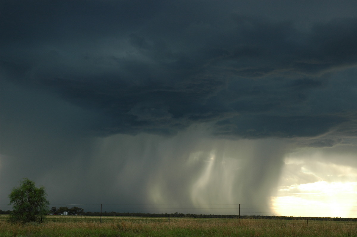 microburst micro_burst : Collarenabri, NSW   26 November 2005