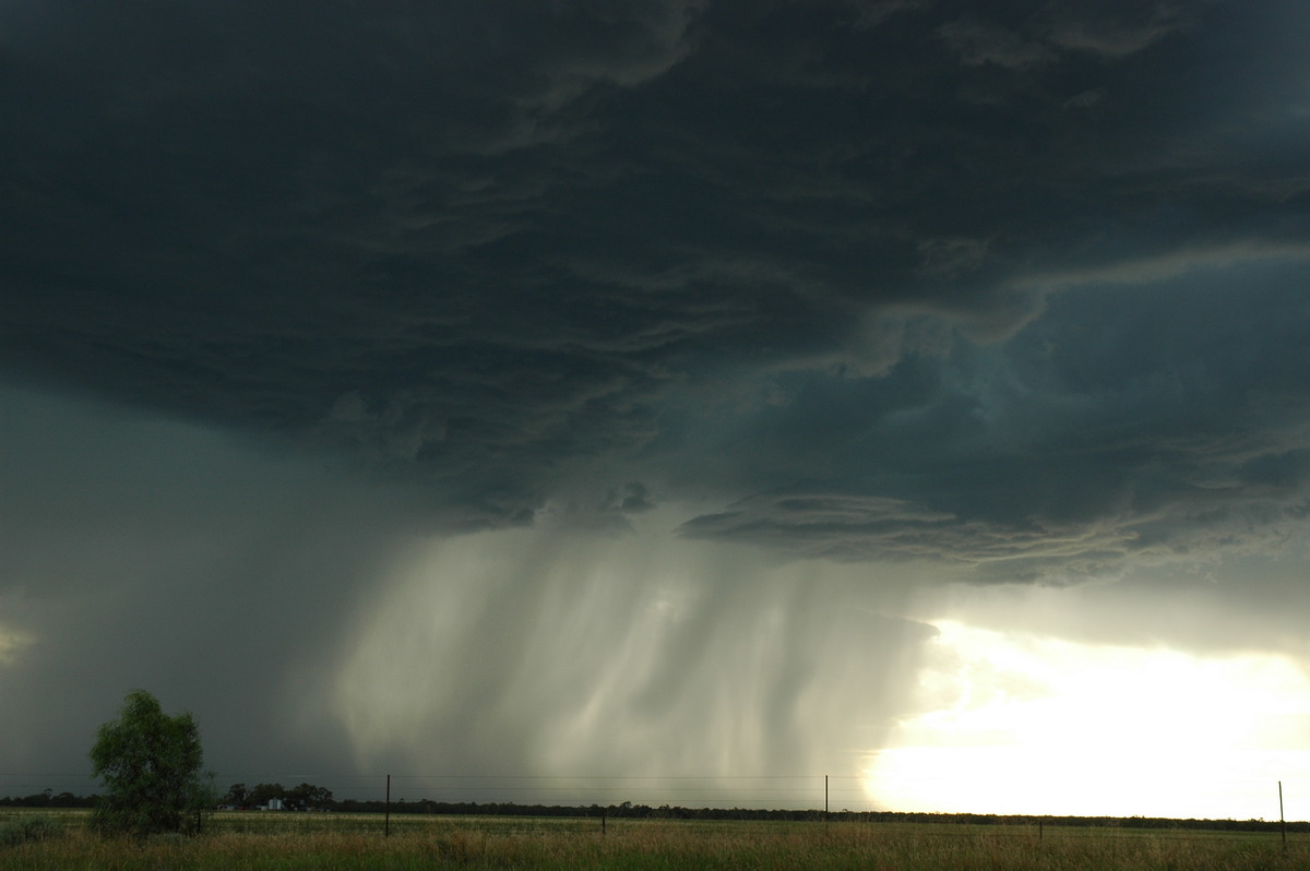 cumulonimbus thunderstorm_base : Collarenabri, NSW   26 November 2005