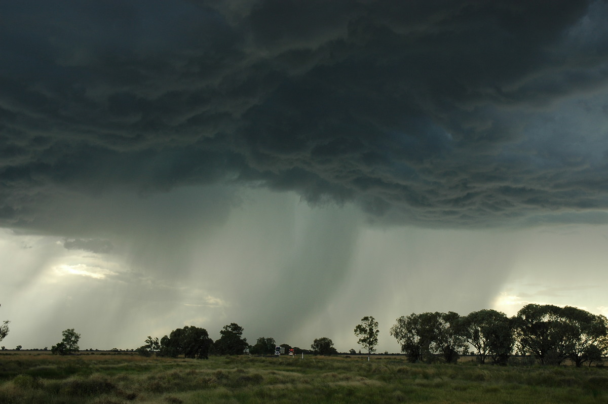 cumulonimbus thunderstorm_base : Collarenabri, NSW   26 November 2005