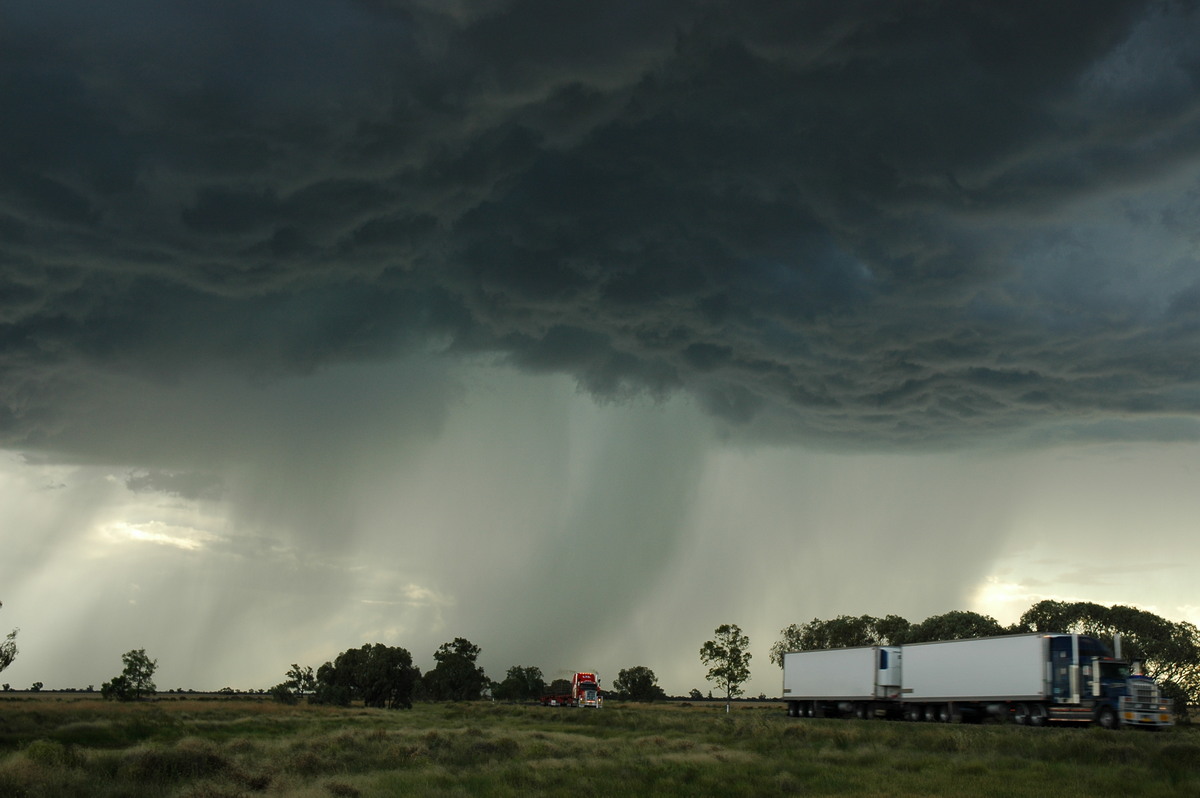 cumulonimbus thunderstorm_base : Collarenabri, NSW   26 November 2005