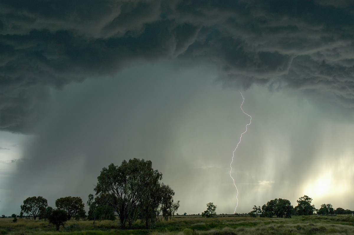 lightning lightning_bolts : Collarenabri, NSW   26 November 2005